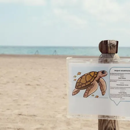 Crystal Paraiso Aqua Collection Boğazkent