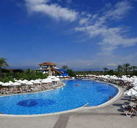 Crystal Paraiso &
